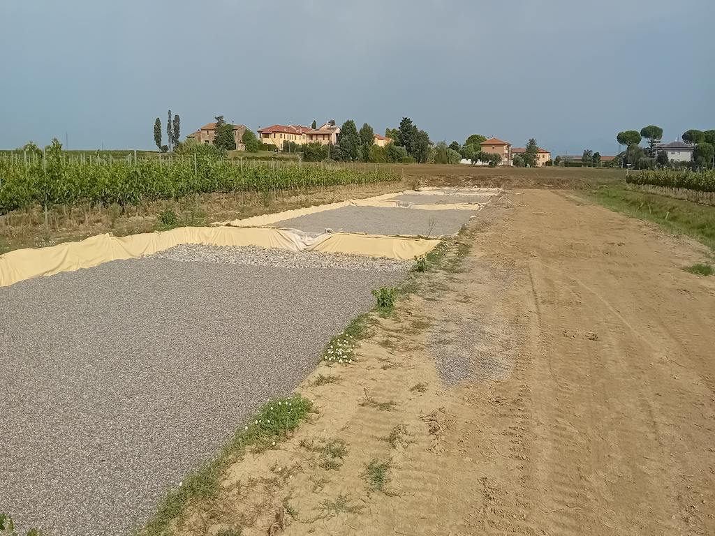 Impianto di fitodepurazione Tenuta Lorenese, Maremma toscana